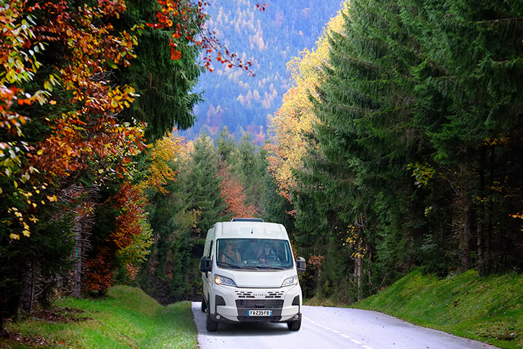 Vue de face d'un fourgon aménagé Bavaria sur une route de montagne en lisière de forêt